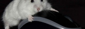 Mouse clicking computer mouse