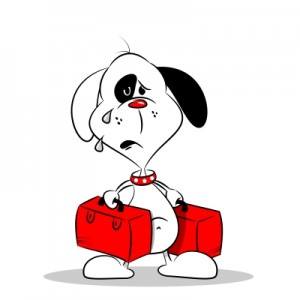 disappointed puppy