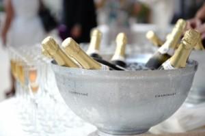 Celebrate what your nonprofit can learn about social media and fundraising from the Ice Bucket Challenge.
